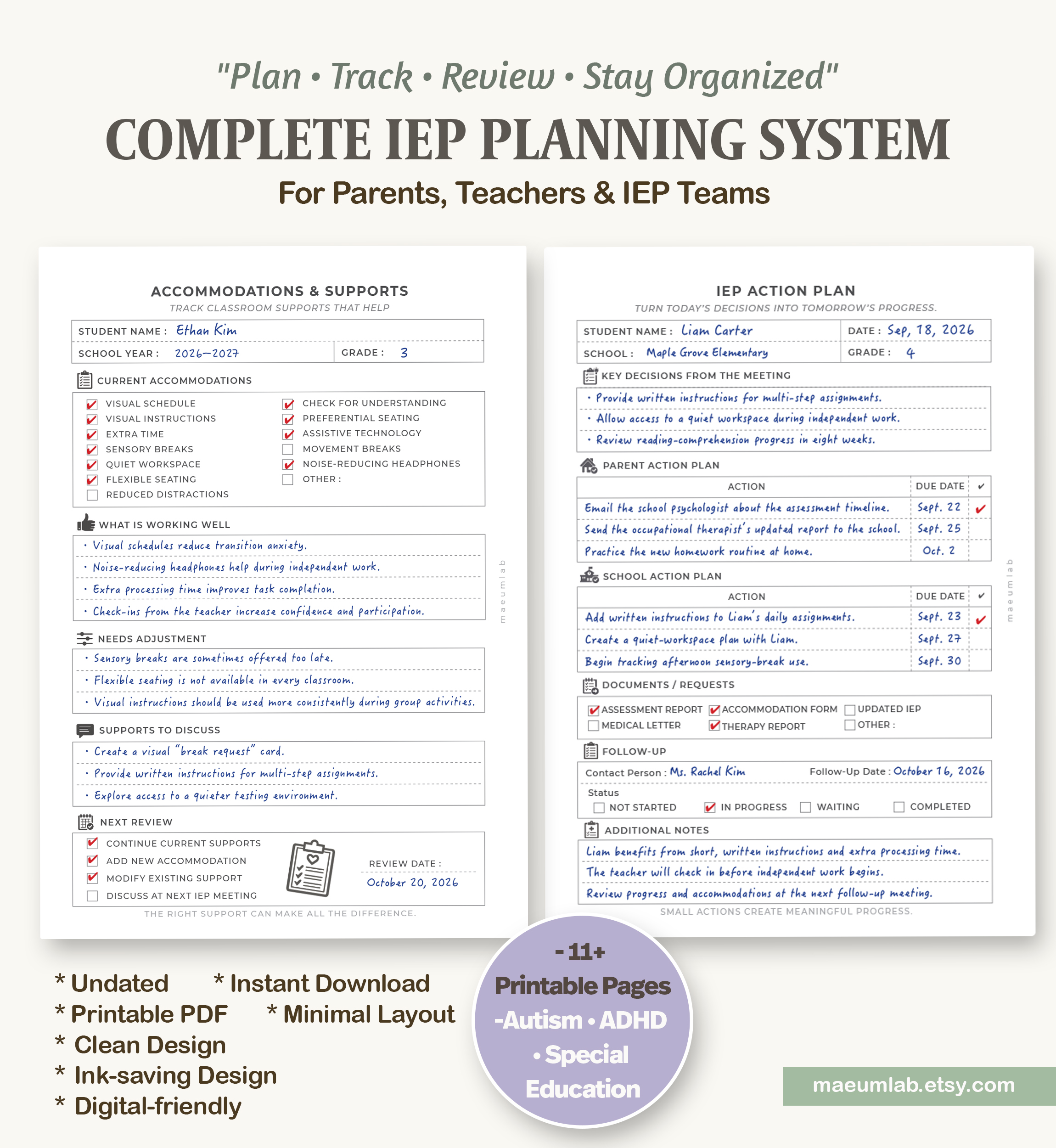 iep action plan iep action plan