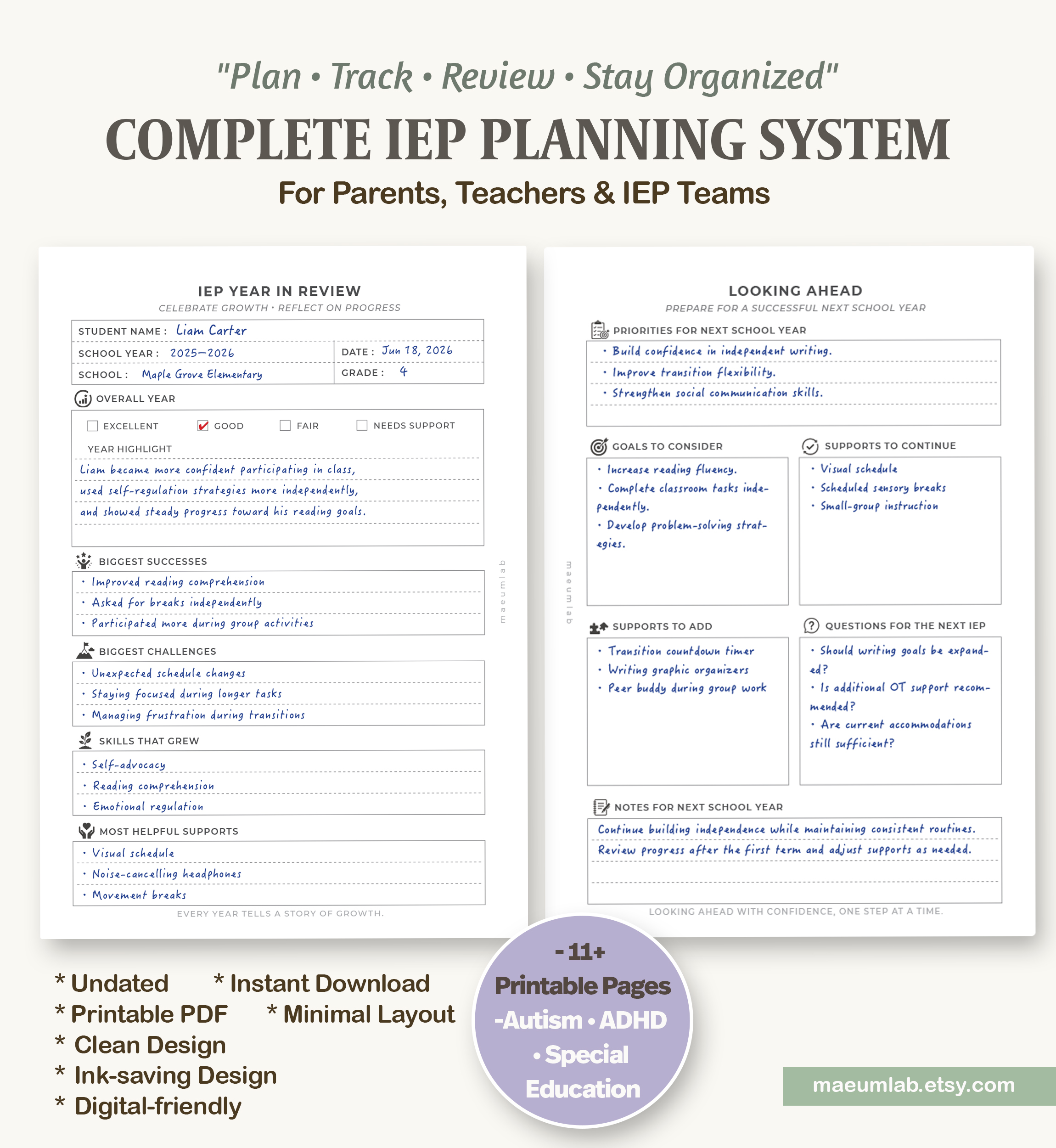 iep year in review iep year in review