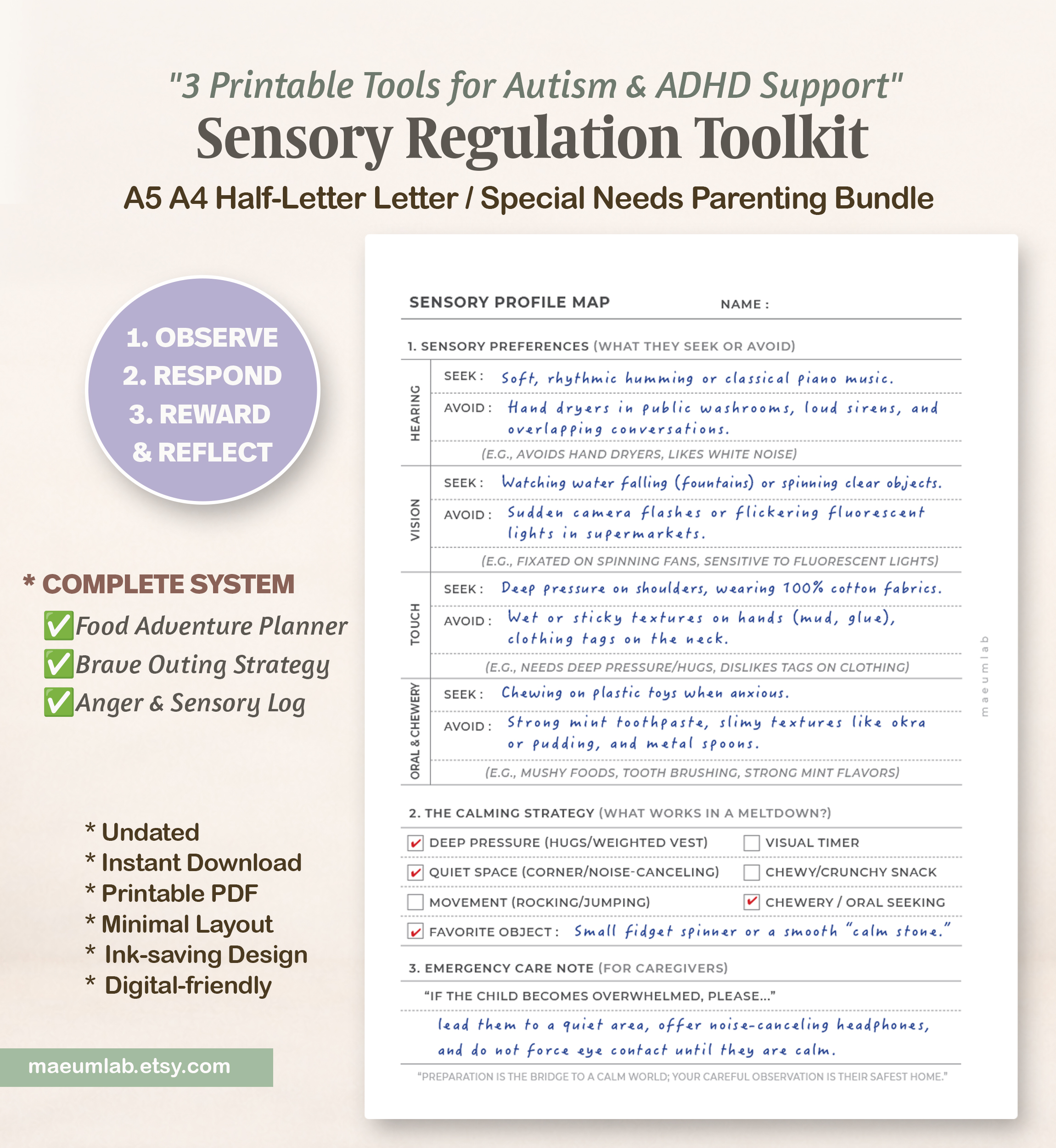 How to Use SENSORY REGULATION TOOLKIT 02 sensory profile map 1