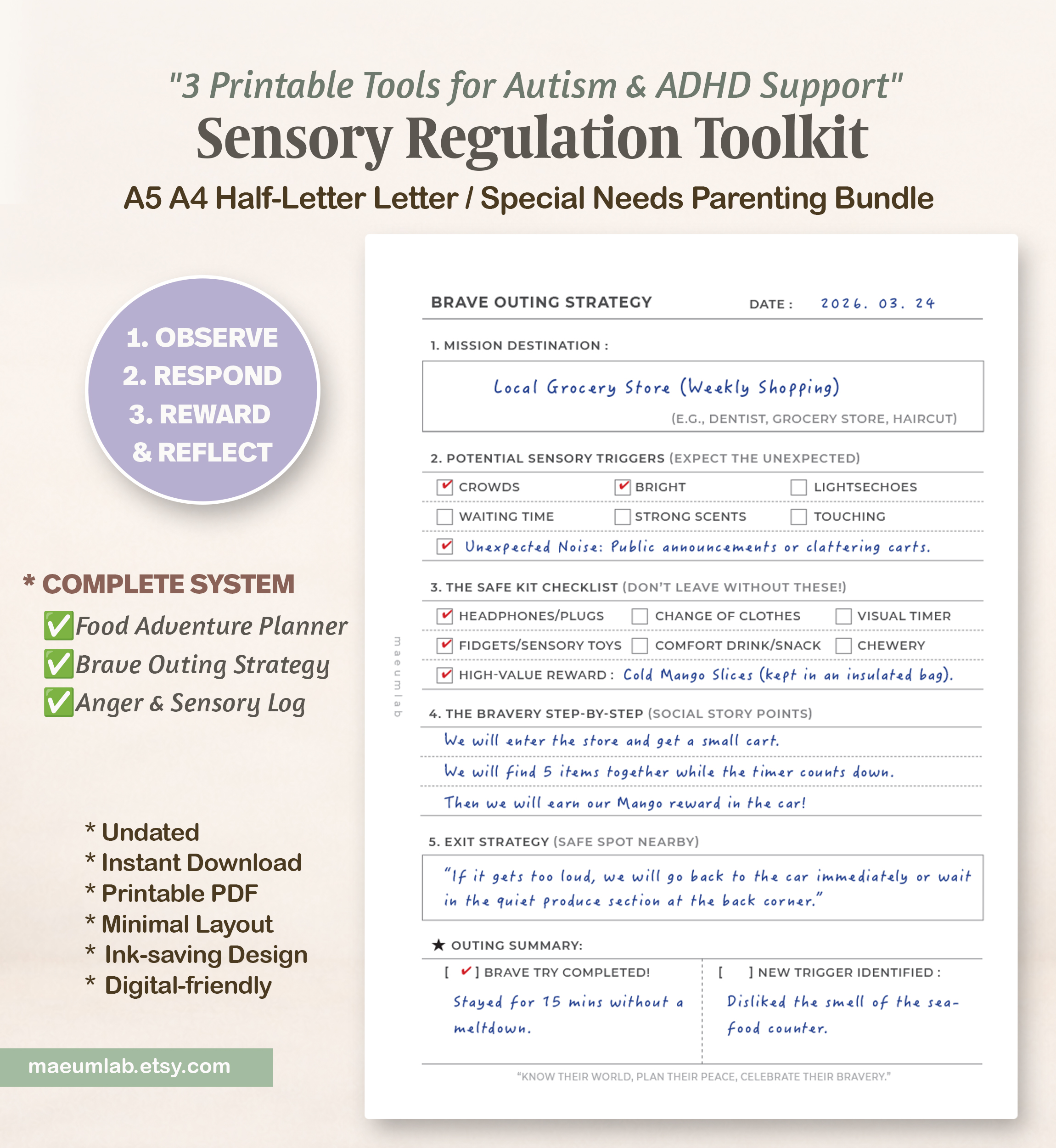 How to Use SENSORY REGULATION TOOLKIT 02 sensory profile map 2