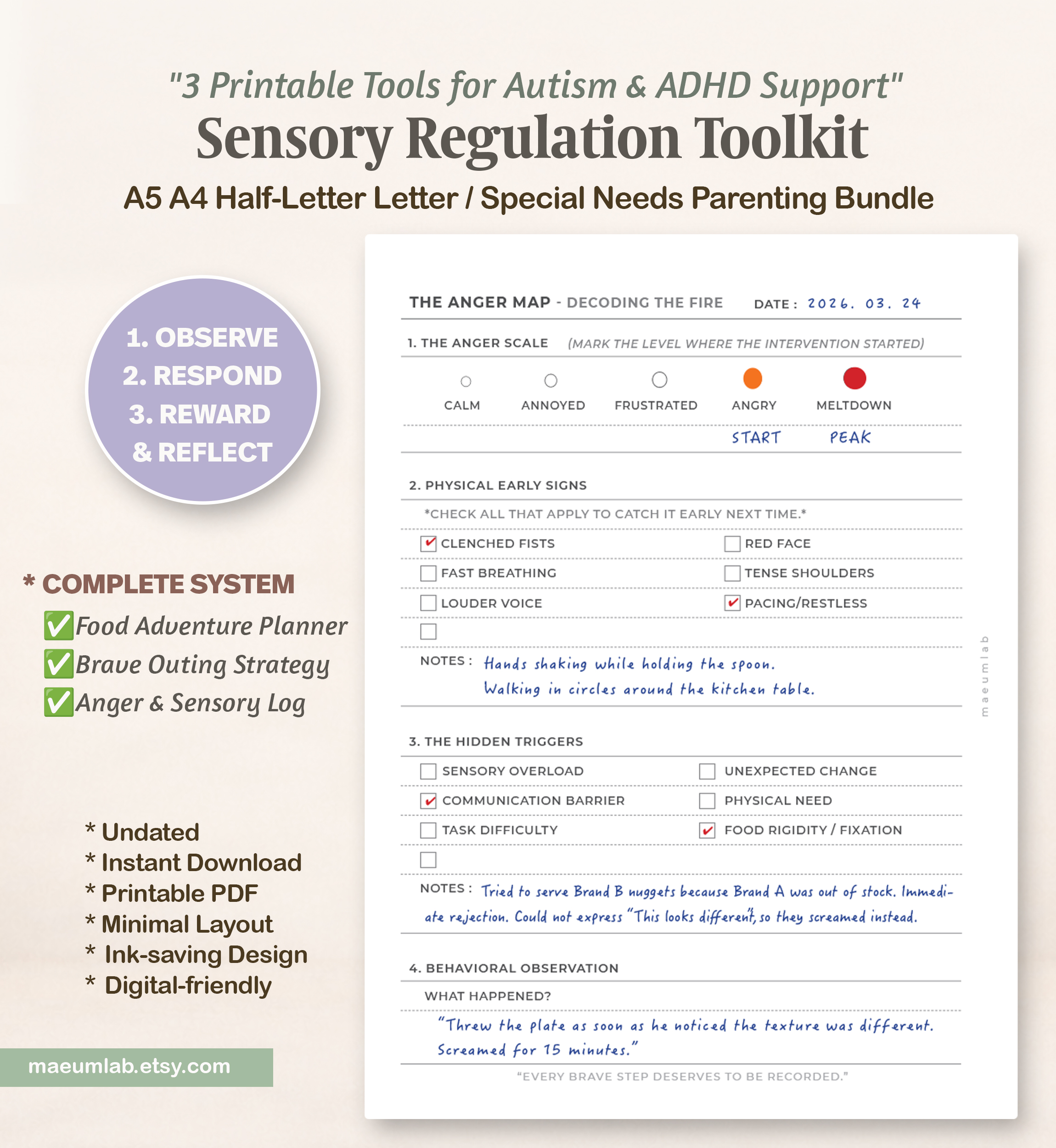 How to Use SENSORY REGULATION TOOLKIT 03 the anger map 1
